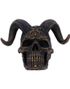 Diabolus - Djevelens Hodeskalle med Geite Horn 18 cm