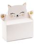 6 stk Kakebokser 15,5x8x18 cm - Kitty Party