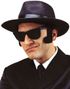 Svarta Blues Brothers Matta Wayfarerglasögon 