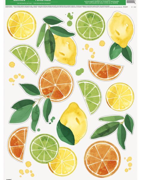 14 Vindusklistremerker Sitrus Frukter - Summer Fruits