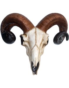 Rams Skull Figur med Väggfäste 33 cm