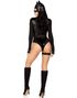 Fierce Feline - Catwoman Inspireret Maskeraddräkt