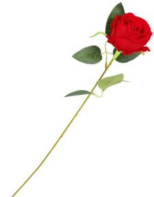 1 stk Rød Langstilket Rose med Blader 50 cm