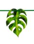 Girland med Palmblad 3 meter