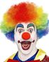 Flerfärgad Clownperuk